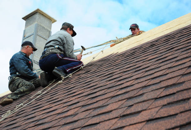 Quick and Trustworthy Emergency Roof Repair Services in Presquille, LA