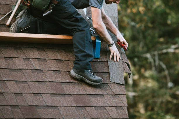Best Roof Repair Services  in Presquille, LA